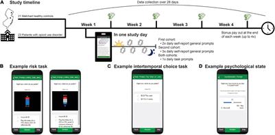 A Proof-of-Concept Ecological Momentary Assessment Study of Day-Level Dynamics in Value-Based Decision-Making in Opioid Addiction